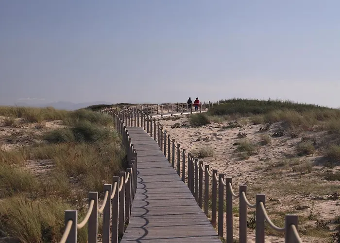 Au pied des dunes