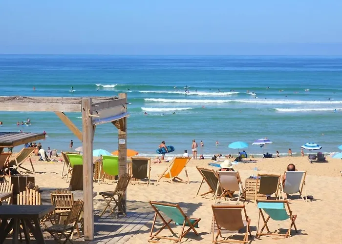 Au Pied Des Dunes